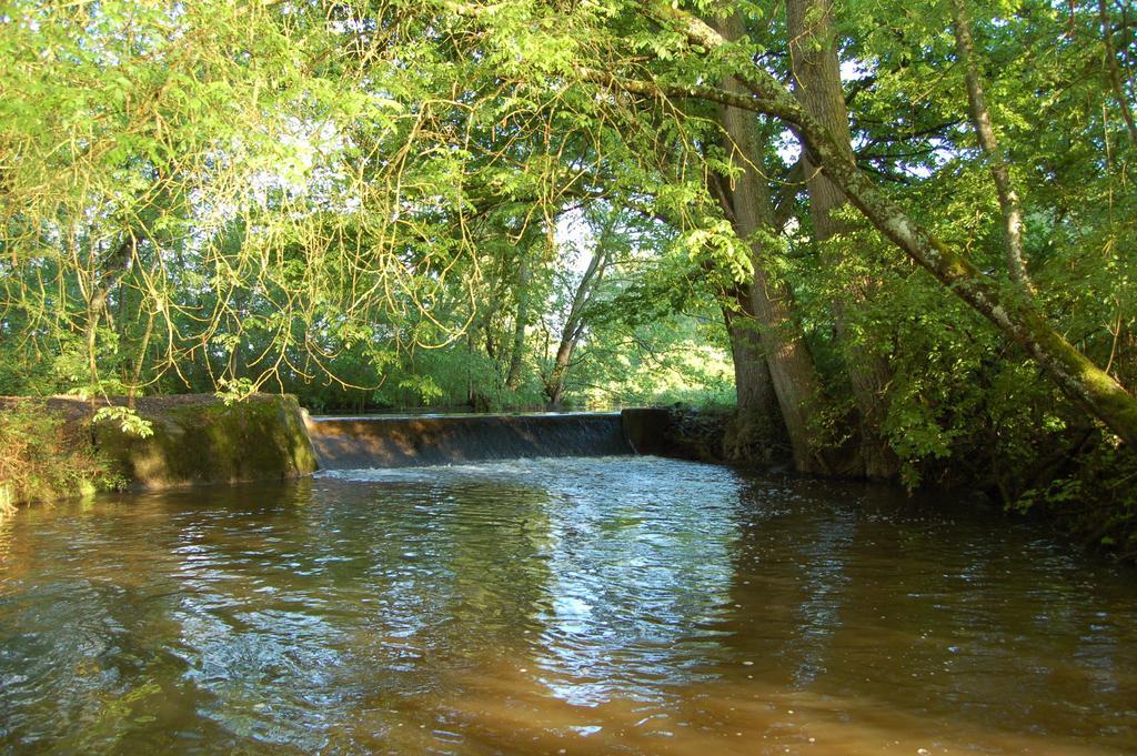 Le Moulin Neuf Bed and Breakfast Vignoux-sur-Barangeon Buitenkant foto