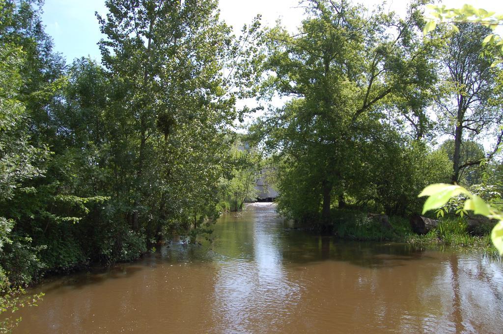 Le Moulin Neuf Bed and Breakfast Vignoux-sur-Barangeon Buitenkant foto